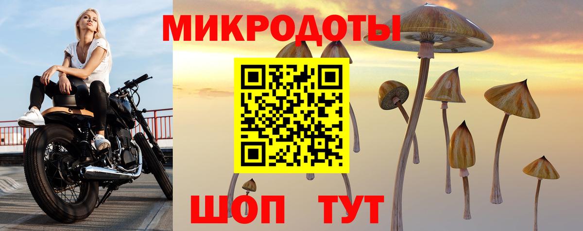 Галлюциногенные грибы мухоморы Тобольск